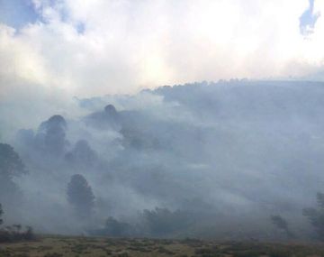Un incendio está arrasando un bosque nativo en Neuquén