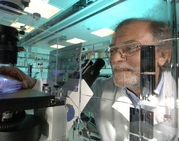 Con el mismo sexo podrían ser papás biologicos