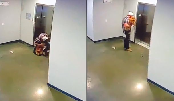 VIDEO: Salvó a un perro de morir estrangulado con su propia correa