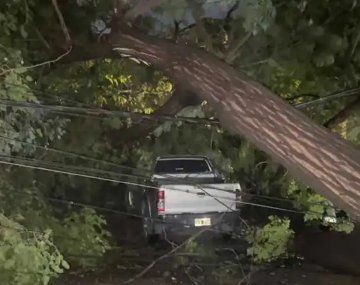 Desastre en Mendoza por un fuerte temporal de viento y granizo