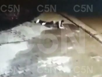 Quilmes: un video muestra el supuesto tercer tiro del jubilado a un ladr&oacute;n