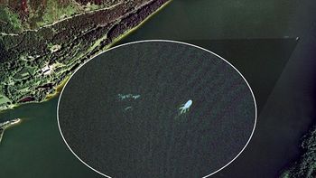 busco por internet al misterioso monstruo del lago ness, y lo encontro