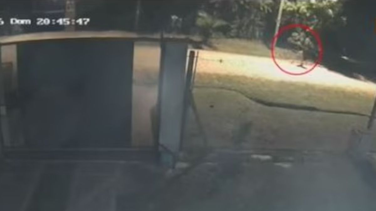 Imagen noticia completa