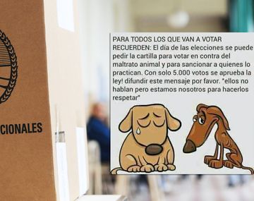 Un viral contra el maltrato animal induce a la impugnación del voto