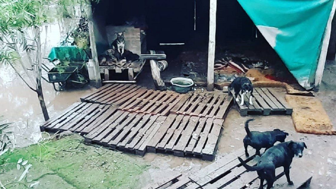 montecitojpg