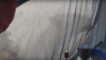 video: se fueron a acampar y se despertaron con dos leones fuera de la carpa video: se fueron a acampar y se despertaron con dos leones fuera de la carpa