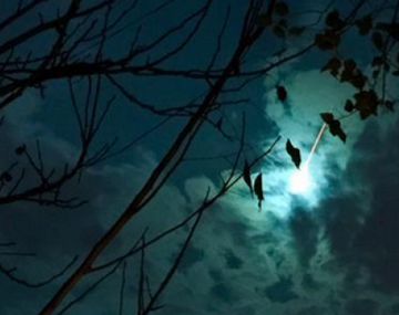 {altText(,¿Qué fue lo que provocó el fenómeno del #CieloVerde?)}