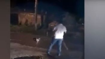 Un cocodrilo se comió un perro en México Un cocodrilo se comió un perro en México