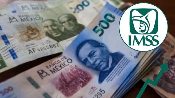 IMSS utilizan este dinero para vacaciones y no saben que es un grave error: el aviso para este 2026
