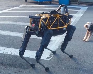 El encuentro entre un perro robot y uno real
