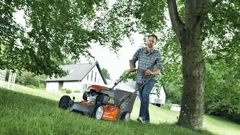 Imágen ilustrativa Imágen ilustrativa