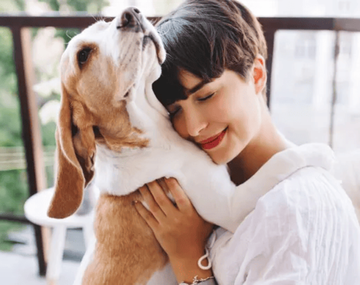 Este desconocido truco casero mantendrá a tu perro y hogar libres de alpargatas.&nbsp;