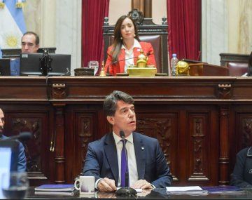 El jefe de Gabinete expuso por primera vez en el Senado