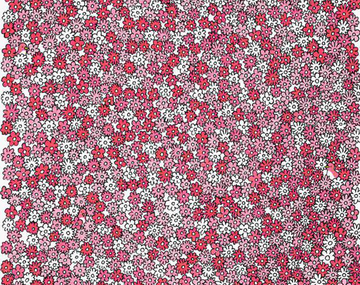 El desafío que pone a prueba tu agilidad según si lográs encontrar las estrellas