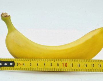 Tu pene es más corto de lo que pensás: las pruebas