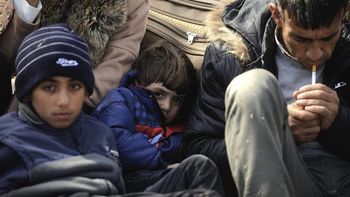 autoridades religiosas sirias autorizan a comer gatos, perros y burros