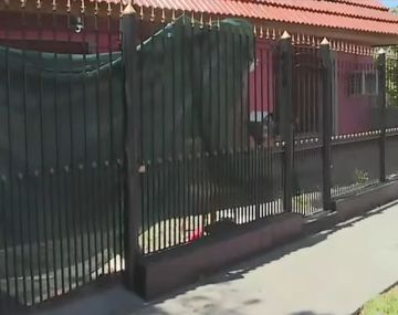 Denuncian que una chica de 16 años mató a puñaladas su novio de 19 en Remedios de Escalada