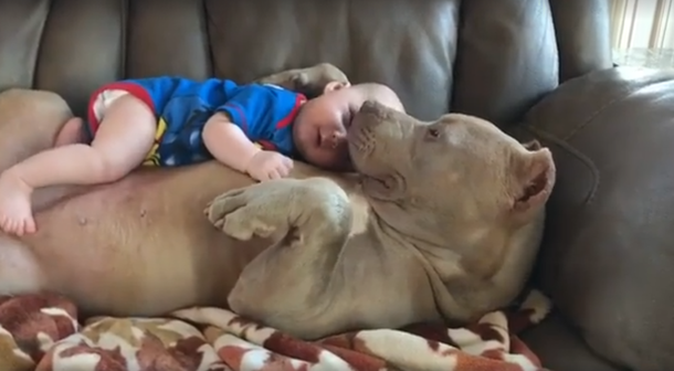 El bebé está recostado sobre la panza de su perro