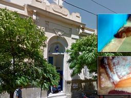 Denuncian presencia ratas y comida podrida en una escuela de Burzaco
