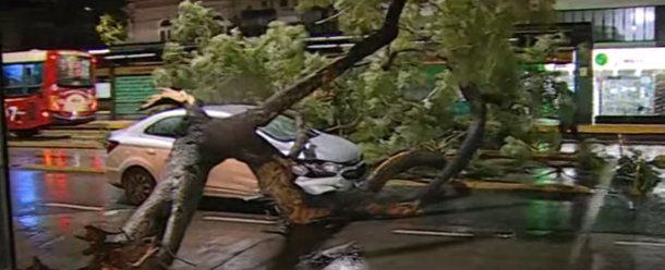 Temporal de viento y lluvia dejó árboles caídos, postes de luz inclinados y autos dañados en la Ciudad