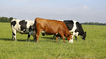 China es uno de los principales importaciones de carne del Uruguay. China es uno de los principales importaciones de carne del Uruguay.
