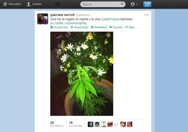 Gabriela Cerruti mostró su planta de marihuana en Twitter