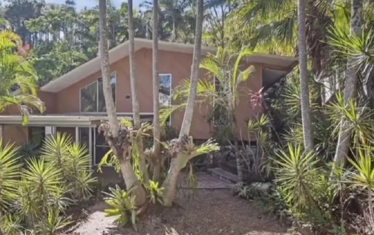 Una pareja pagó medio millón de dólares por una casa y las termitas se la devoraron