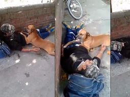 Conmovedor: se descompensó y su perro lo cuidó hasta que llegó la ambulancia