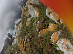 video: una gaviota se roba una gopro y graba su vuelo en una isla espanola video: una gaviota se roba una gopro y graba su vuelo en una isla espanola