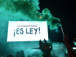 ¿Qué dice la ley del aborto?