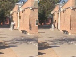 Una adolescente de 14 años se atrincheró en una escuela de Mendoza y disparó dos veces al aire