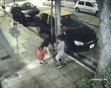 Sin corazón: abandonaron a un cachorro en Navidad