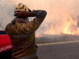 Continúan los incendios en el Delta del Paraná, en San Luis y en Tucumán