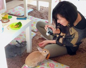Animal CAFE 1