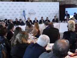 Ley Bases: el RIGI complica la votación en el Senado y el oficialismo podría regresar el proyecto a Diputados