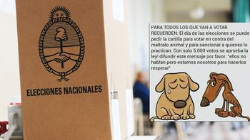 Un viral contra el maltrato animal induce a la impugnación del voto Un viral contra el maltrato animal induce a la impugnación del voto