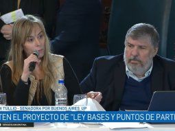 Juliana Di Tullio dejó al descubierto las insólitas inconsistencias de la Ley Bases: Pelito pa la vieja