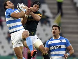 los pumas perdieron un partido increible ante sudafrica por el rugby championship los pumas perdieron un partido increible ante sudafrica por el rugby championship