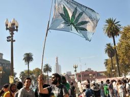 convocan a una marcha mundial por el uso regulado de la marihuana convocan a una marcha mundial por el uso regulado de la marihuana