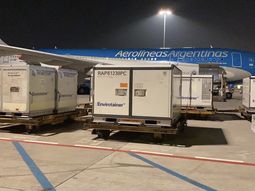 Cómo seguir en vivo el vuelo que trae un millón de vacunas Sinopharm