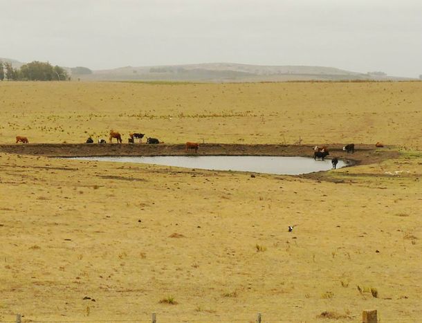 La emergencia agropecuaria había sido extendida hasta el 23 de septiembre.