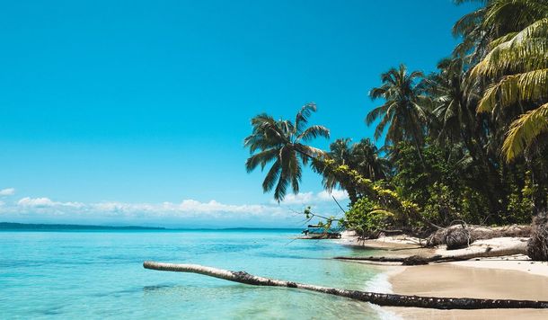 Las islas de Bocas del Toro tienen playas vírgenes. Las islas de Bocas del Toro tienen playas vírgenes.