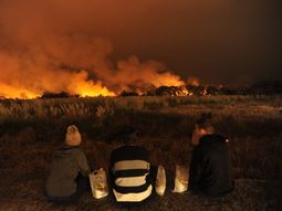 macri: el fuego en la reserva ecologica es intencional macri: el fuego en la reserva ecologica es intencional