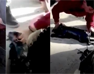 Rescató a un perrito de un depósito de petróleo