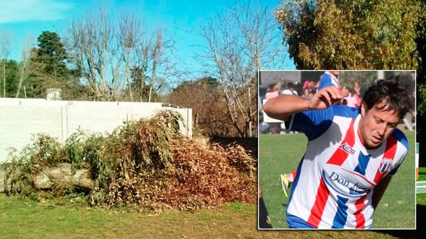 El goleador del equipo fue a podar un árbol del club: murió aplastado