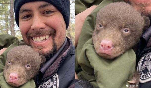 Imperdible propuesta laboral en Estados Unidos: de qué se trata y cómo postularse