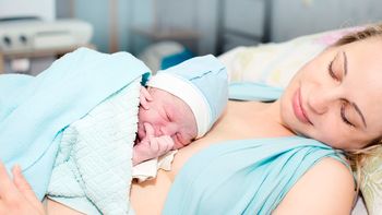 la anmat prohibio una marca de apositos post parto la anmat prohibio una marca de apositos post parto