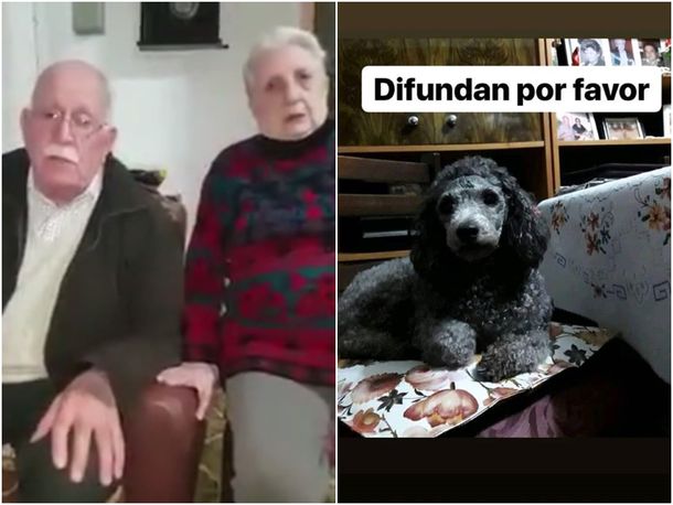 Mara se llama la perrita robada