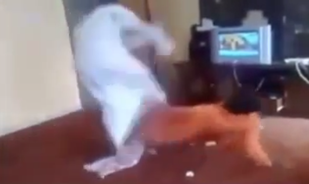 VIDEO: Conmoción por un trabajador que recibe una brutal paliza de su jefe