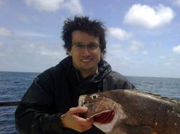 la fiscal fein imputo a lagomarsino por prestarle el arma a nisman la fiscal fein imputo a lagomarsino por prestarle el arma a nisman